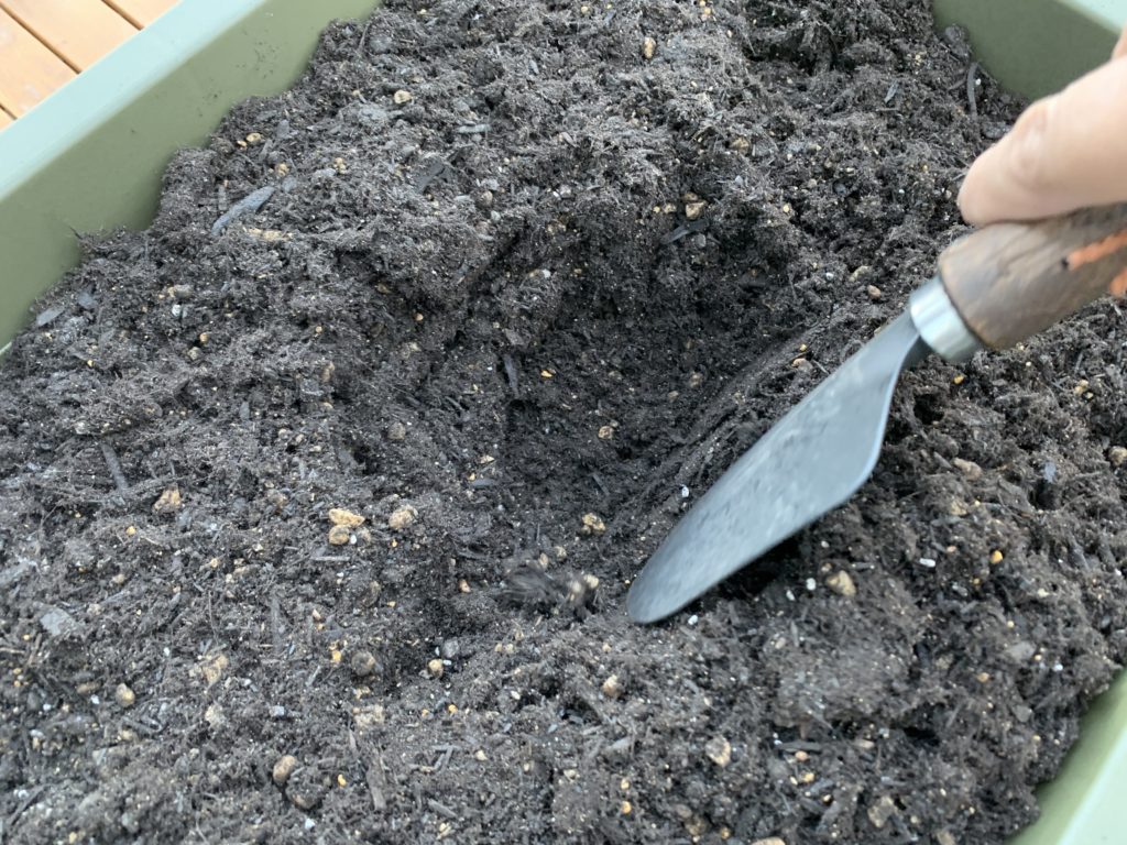 スコップを使って土に穴を掘る様子