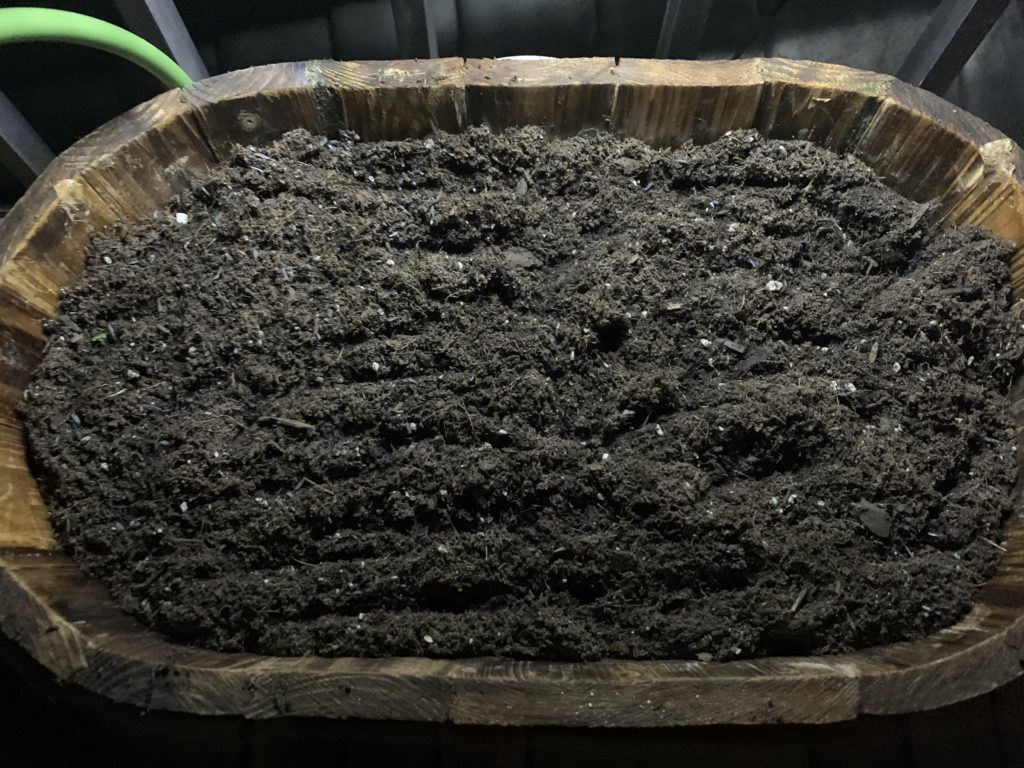 土壌改良したプランターの培養土