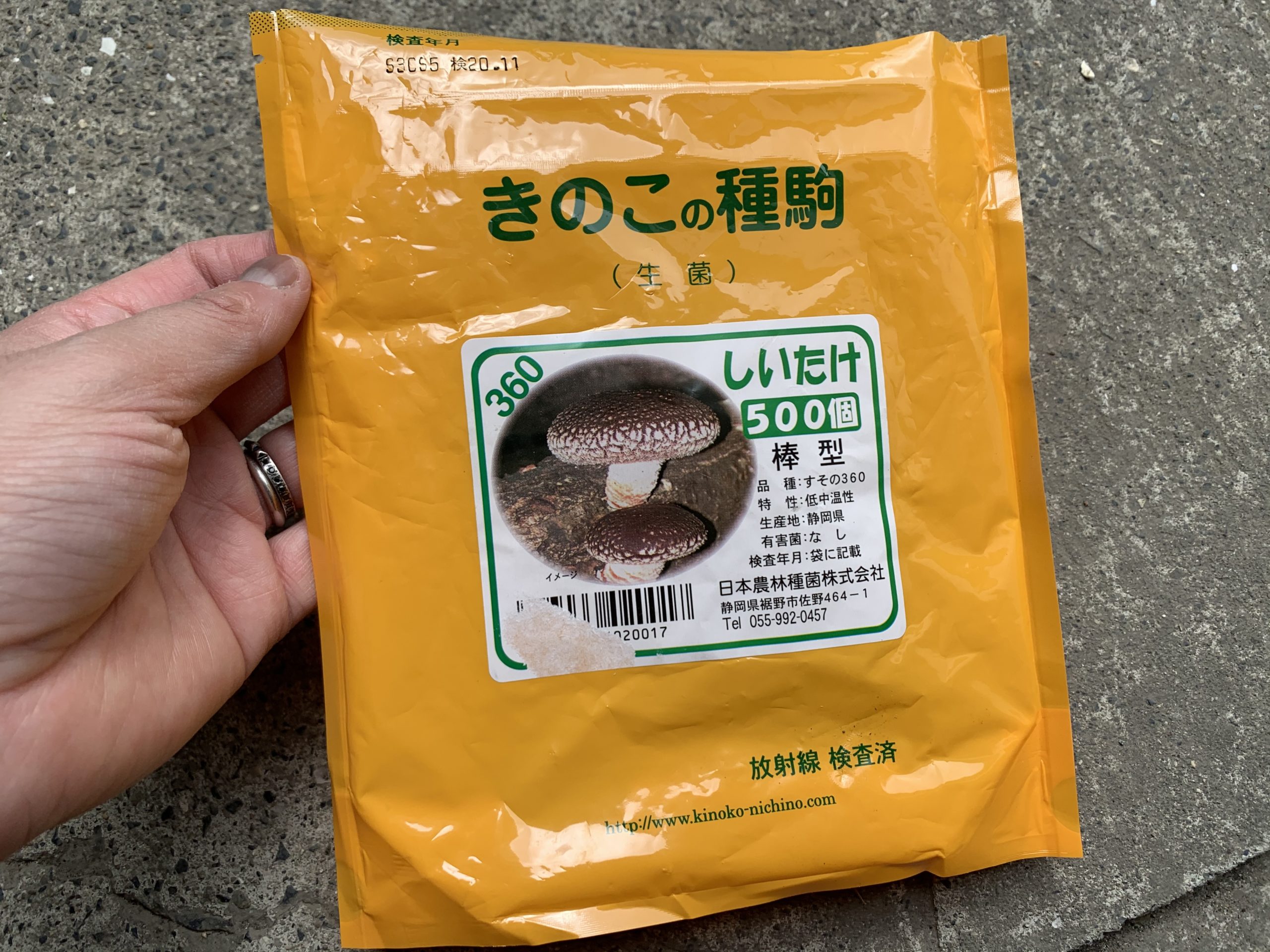 500個入 種駒 しいたけ KM-10号 丸棒型 食用きのこ菌 キノコ