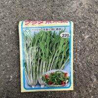 トーホクのサラダ京水菜のタネ