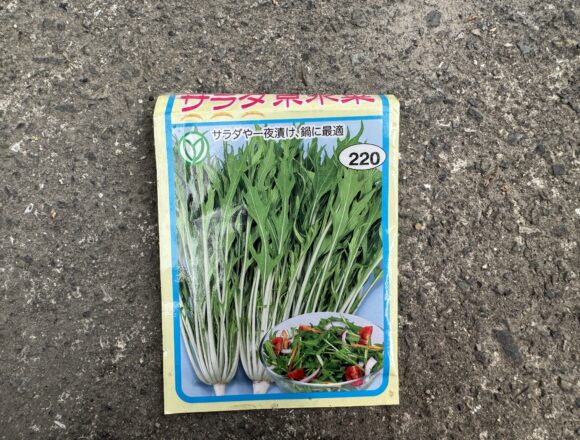 トーホクのサラダ京水菜のタネ