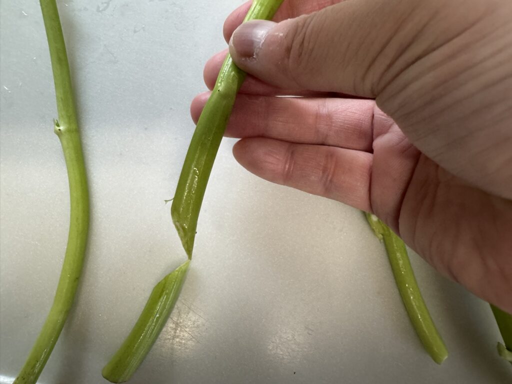 空心菜(くうしんさい)の茎を斜めにカットした様子