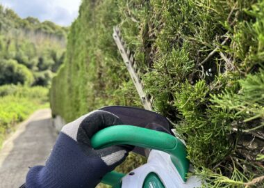 マキタの充電式生垣バリカンMUH352DSを使い、垣根を刈り上げていく様子